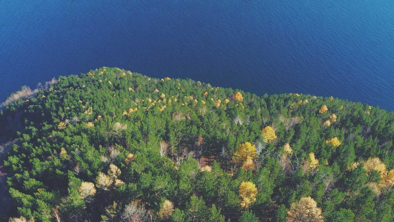 セコム VS アルソック　どっちが家を守ってくれる？