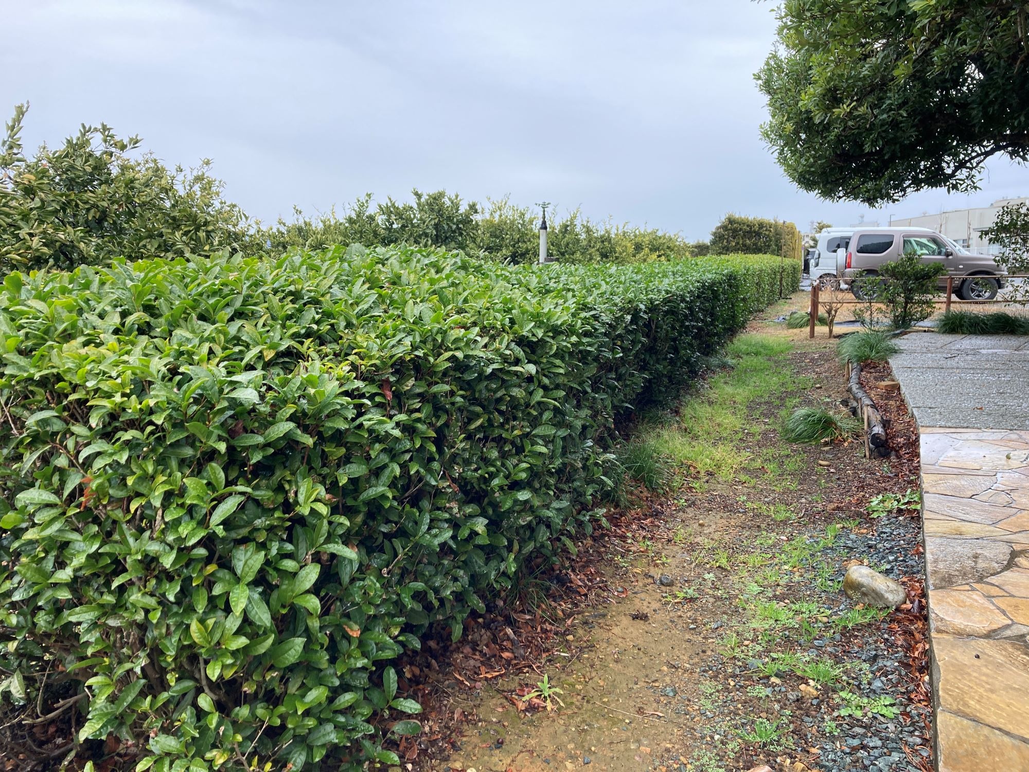 土地選び。角地は「抜け道」になりやすく不審者が通りやすい？