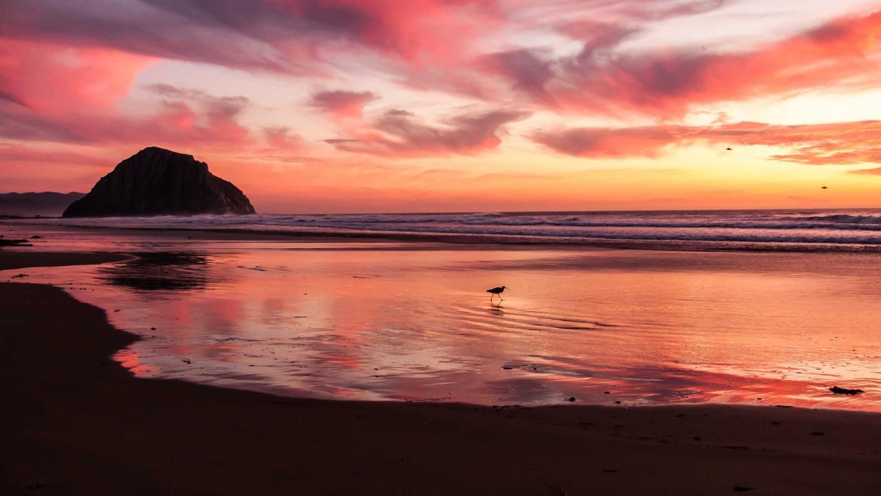 空き巣が「下見」で使う、玄関ドアの小さな傷やシール