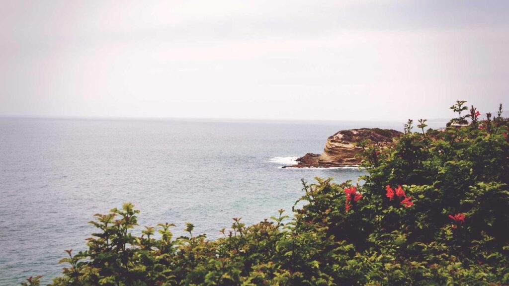 一軒家の「塀」。高さよりも「見通し」を重視した外構の例