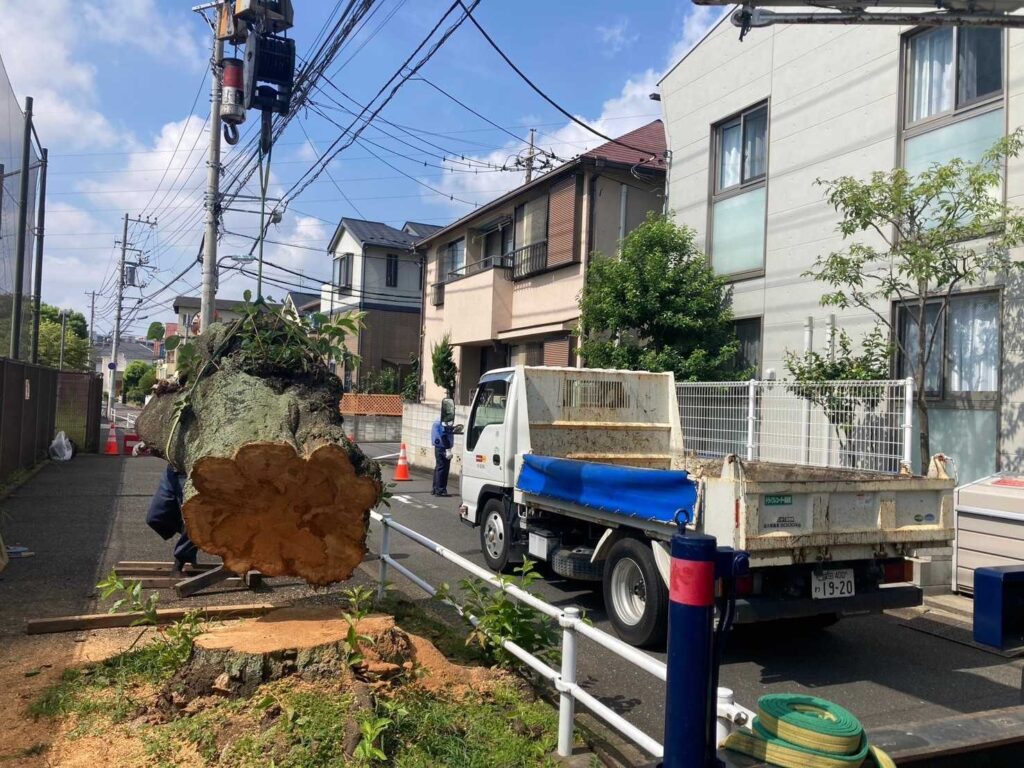 泥棒が「この家はやばい」と察知する、玄関の清掃状況