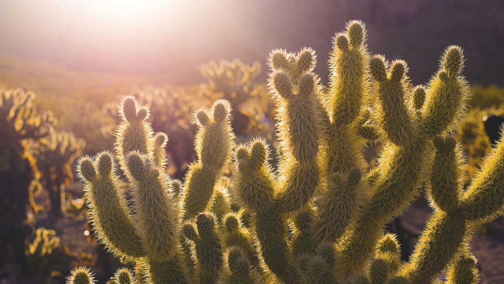 空き巣が「留守」を判断する、ガレージの車の有無